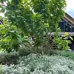 Bed & Breakfast Il Settimo Cielo 3*