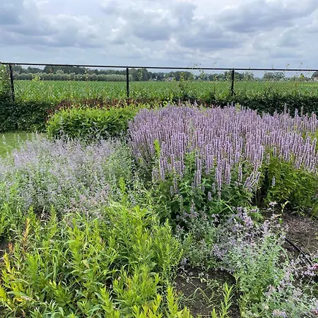 Il Settimo Cielo 3* Someren