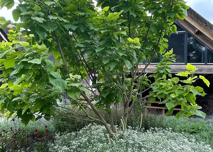 Nocleg ze śniadaniem Il Settimo Cielo 3*