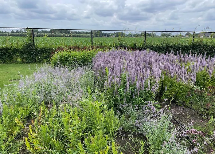 Il Settimo Cielo 3* Someren